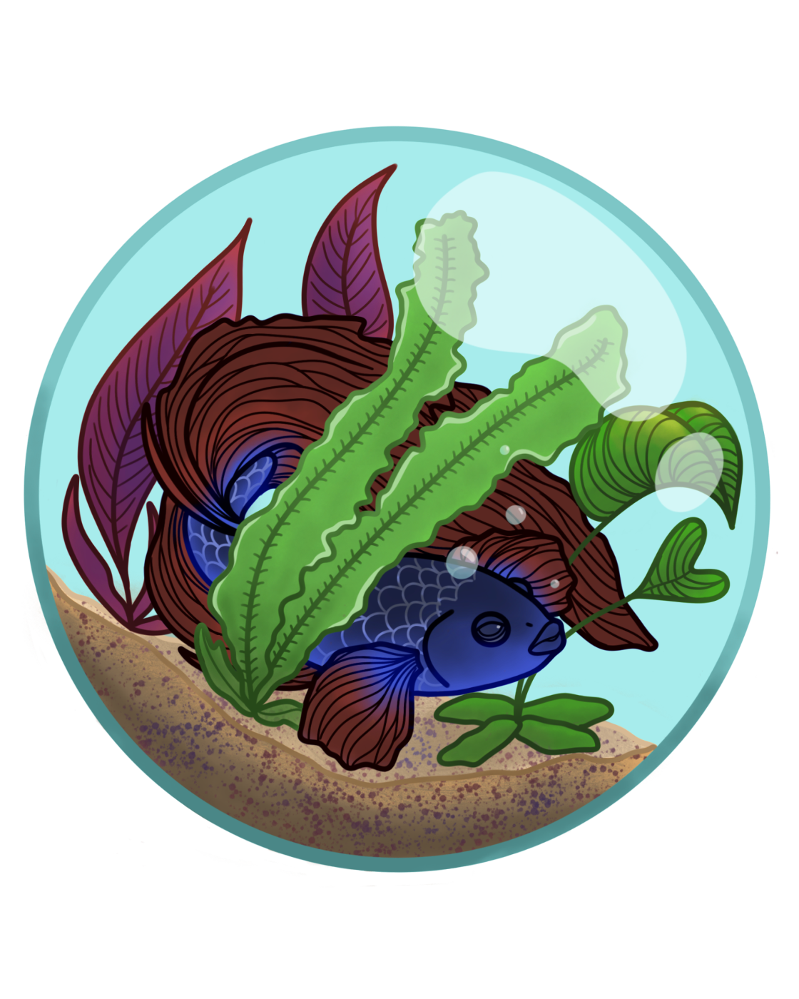 Betta Bubble Magnet